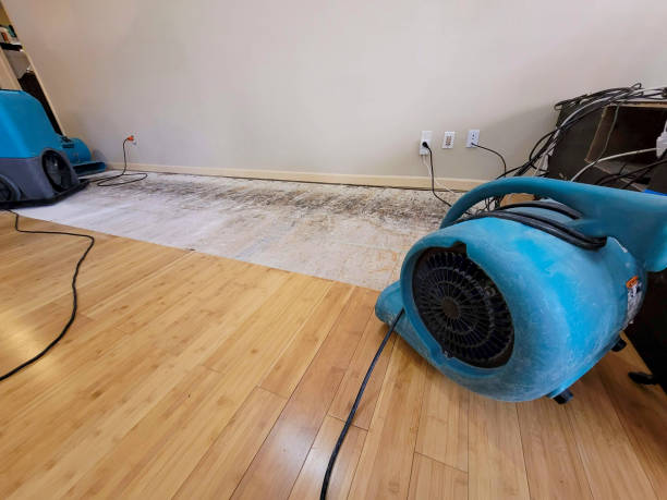Professional Basement Flood Cleanup technician working in Ingleside, TX